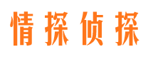 阿拉尔调查事务所